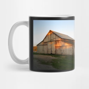 "Old Buddies". A Barn and a Ford Truck on Historic "B" Farm, Point Reyes, California Mug